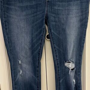 Judy Blue Midnight Distressed Skinny Jeans